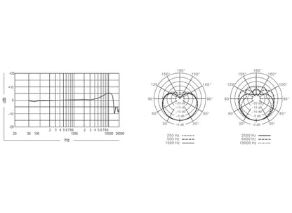 Shure Beta181/C Kleinmembranmikrofon