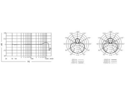 Shure Beta181/S Kleinmembranmikrofon