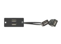 Kramer WU-2AA(B) Wandpanel / USB Durchgangsverbinder