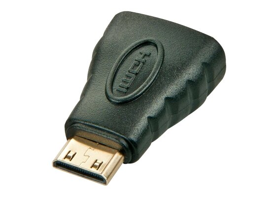 Lindy 41207 Video-Adapter