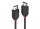 Lindy 36493 DisplayPort-Kabel, 3.0m, 4K, Black Line