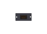 Kramer W-H HDMI Wandplatte